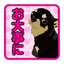 COCO and LOUIS daily conversation sticker #11212472