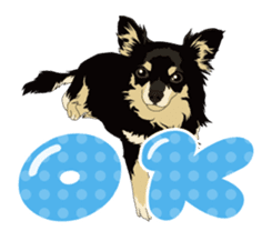 COCO and LOUIS daily conversation sticker #11212473