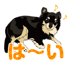 COCO and LOUIS daily conversation sticker #11212474