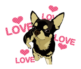 COCO and LOUIS daily conversation sticker #11212475