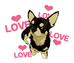 COCO and LOUIS daily conversation sticker #11212475