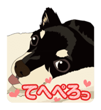 COCO and LOUIS daily conversation sticker #11212476
