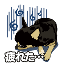 COCO and LOUIS daily conversation sticker #11212477