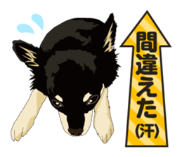 COCO and LOUIS daily conversation sticker #11212478