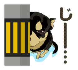 COCO and LOUIS daily conversation sticker #11212479