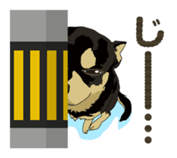 COCO and LOUIS daily conversation sticker #11212479