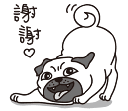 Mr.Pug , Stop nagging(Chinese) sticker #11213651