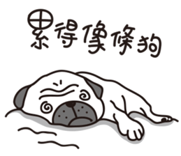 Mr.Pug , Stop nagging(Chinese) sticker #11213656