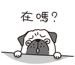 Mr.Pug , Stop nagging(Chinese) sticker #11213664