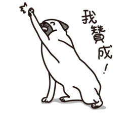 Mr.Pug , Stop nagging(Chinese) sticker #11213669