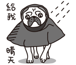 Mr.Pug , Stop nagging(Chinese) sticker #11213677