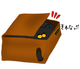 boxcat sticker #11213681
