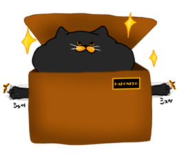 boxcat sticker #11213684