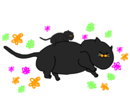 boxcat sticker #11213688