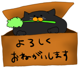 boxcat sticker #11213692