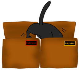 boxcat sticker #11213696