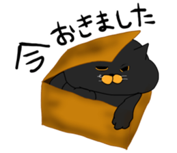 boxcat sticker #11213698