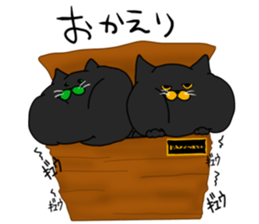 boxcat sticker #11213700