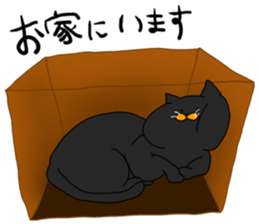 boxcat sticker #11213706