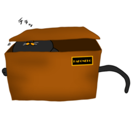 boxcat sticker #11213711