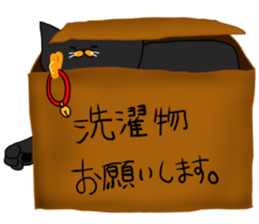 boxcat sticker #11213717