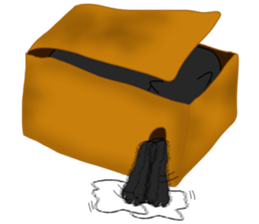 boxcat sticker #11213719