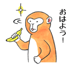SARUDOSHI 2 sticker #11213804