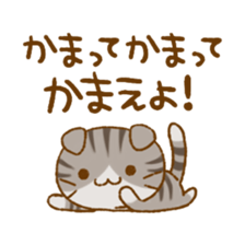 Capricious Scottish Fold sticker #11214887