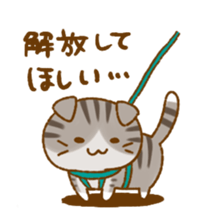 Capricious Scottish Fold sticker #11214890