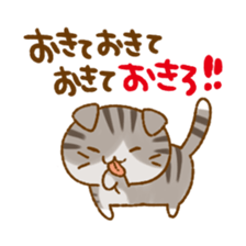 Capricious Scottish Fold sticker #11214892