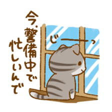 Capricious Scottish Fold sticker #11214899