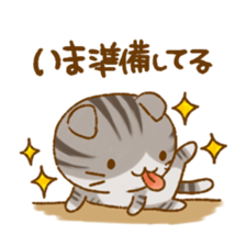 Capricious Scottish Fold sticker #11214905