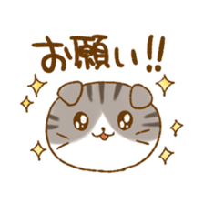 Capricious Scottish Fold sticker #11214908