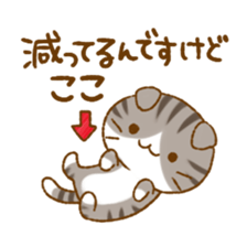 Capricious Scottish Fold sticker #11214909