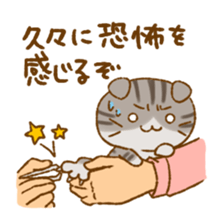 Capricious Scottish Fold sticker #11214911