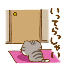 Capricious Scottish Fold sticker #11214912