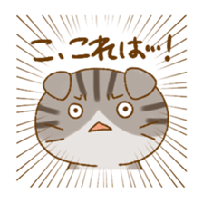 Capricious Scottish Fold sticker #11214913