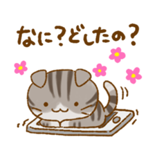 Capricious Scottish Fold sticker #11214914
