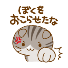 Capricious Scottish Fold sticker #11214916