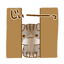 Capricious Scottish Fold sticker #11214918