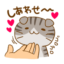 Capricious Scottish Fold sticker #11214919