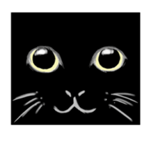 It's is a black Cat sticker #11215198