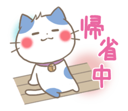 mild-Kitten-Summer- sticker #11218819