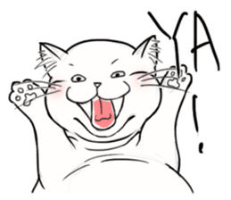 Fat Fat Cats sticker #11220165