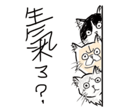 Fat Fat Cats sticker #11220177