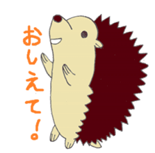 prechan hedgehog 2 sticker #11220461
