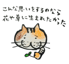 Talking cat with three colors of fur sticker #11221498