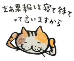 Talking cat with three colors of fur sticker #11221500