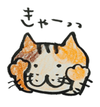 Talking cat with three colors of fur sticker #11221506
