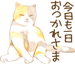 Warm and Fluffy Tortoiseshell cat sticker #11222585